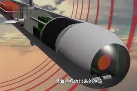 动物以武器《响尾蛇以热成像仪》视频封面