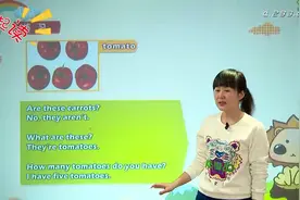 25人教版四年级英语下册第四单元：At the farm同步教学视频封面