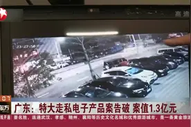 广东特大走私电子产品案告破，查获264箱电子产品，案值1.3亿元视频封面