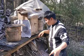 湖北车神的养蜂技术也是一流的，大雪覆盖三尺，蜜蜂却能安全过冬视频封面