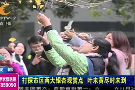 蓝天+白云+朝霞！成都天气“美到爆”，市民：很美！视频封面