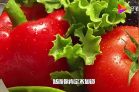 为什么西红柿被归为蔬菜菜系？原来这和美国人的用餐习惯有关
