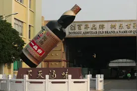 广东百年东古酱油，已经有160年的历史了，它的制作过程不简单啊视频封面