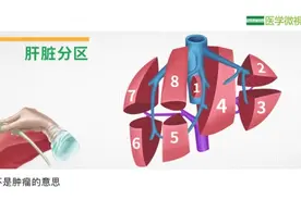 肝脏超声检查报告单S1、S2、S3、S4、S5、S6、S7、S8是什么意思？视频封面