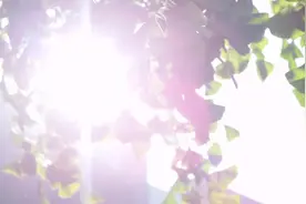 张燕生气起来，赶走了周文，周文负气离去视频封面
