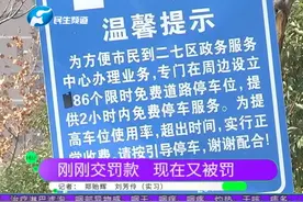 看到“P”字标志去停车，结果却被罚，停管部门：车位已经被取缔视频封面