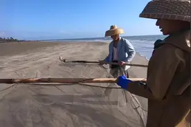 带上祖传神器横扫大海，收获海虾多如牛毛视频封面