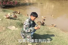 农村小伙用小鱼喂鸭子，几十只鸭抢着吃，这个办法太好用了！视频封面