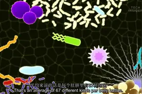 猜猜你的肚脐里都有些什么？视频封面