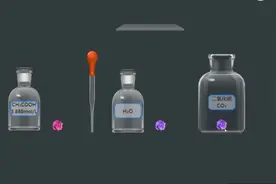 二氧化碳与水的反应