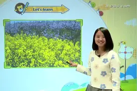 08人教版PEP五年级英语下册第二单元知识讲解视频封面