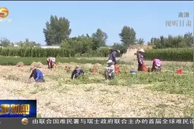 扩大出口“朋友圈” 甘肃省洋葱实现出口大洋洲视频封面