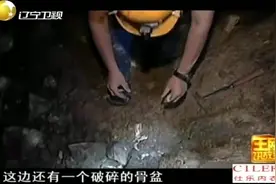王刚讲故事：神秘洞穴惊现大量动物残骸，专家勘查后揭开千年谜团视频封面
