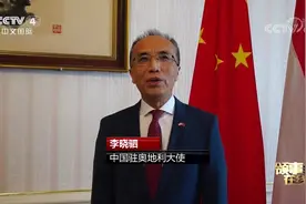 中国驻奥地利使馆：多项举措保护在奥同胞 团结一心高效抗疫视频封面