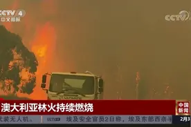 澳大利亚林火持续燃烧：首都周边山火仍处于失控状态视频封面