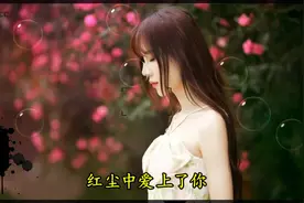《今生爱上你》高安-张渼壹视频封面