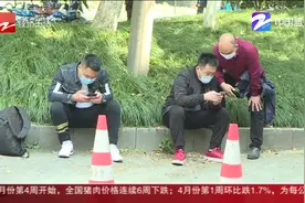 杭州驾照满分学习今起恢复 违章司机已“望眼欲穿”视频封面