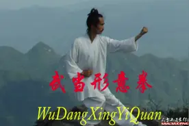 形意拳（三大内家拳之一）相传岳飞所创
