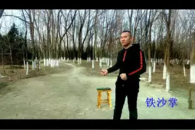 自然门武术之铁沙掌3视频封面