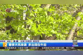 春季大风来袭 多出现在午后视频封面