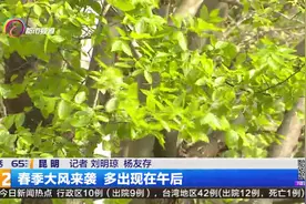 春季大风来袭 多出现在午后视频封面