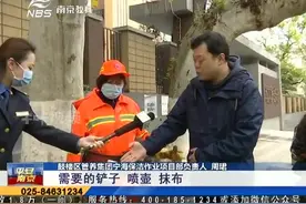 南京：今年再也不用被飞絮骚扰了！城管几招“对付”春天毛絮！视频封面