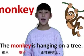 动物篇monkey猴子 牛津初高中小学少儿童英语单词和例句子 常荣