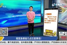 观赏鱼的喂食也有技巧讲究，教你正确喂养方法，避免成为养鱼杀手视频封面