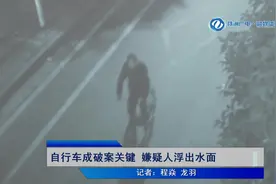 深夜蹲守抢劫独行女子 嫌疑男子伪装躲避监控图片