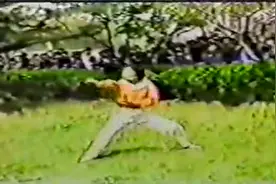 山东冠县查拳传人王秀芬演练的张派查拳视频封面