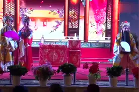 秦腔《打金枝》全本：酒泉振兴秦剧团 演出视频封面