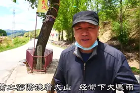 张家口这村路中间有棵树，为啥老人说这棵树不能移动？有啥说法吗视频封面