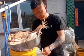 看东北农村小伙自制熏鸡，真的是太美味了，实拍整个过程！视频封面
