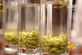 世界那么大：名扬天下的名茶都匀毛尖，早在百年前，就获得过金奖视频封面
