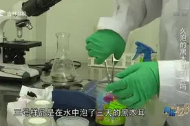 真相123：木耳炒鸡蛋咋就成了“绝命菜”？看完这组实验就知道了视频封面