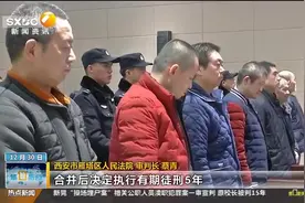 西安雁塔区一“村霸”恶势力案宣判 7人被判刑视频封面
