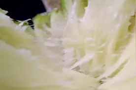 需要火烤着吃的水果面包果，雪白绵软口感似面包