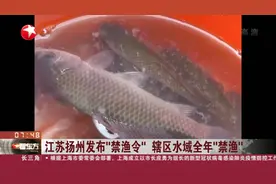 禁令来了！江苏扬州发布“禁渔令” ，水生动植物一律不准捕捞！视频封面