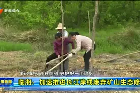 临湘：加速推进长江岸线废弃矿山生态修复视频封面