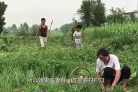 非农业户口能迁回农村吗？最新回应，满足这6个条件就可以视频封面