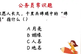 公务员常识题：“但愿人长久，千里共婵娟”中的婵娟指什么视频封面