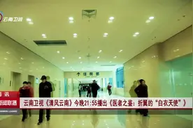 《清风云南》今晚21：55播出《医者之鉴：折翼的“白衣天使”》视频封面