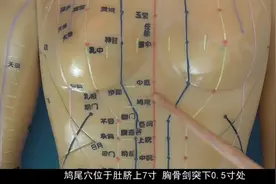 鸠尾穴，经常按摩此穴，可改善心痛，心悸，癫痫，惊狂等病症视频封面