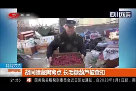 北京：恶心至极！前门胡同暗藏黑窝点，长毛糖葫芦被查扣视频封面