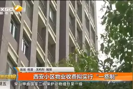 西安小区物业收费拟实行“一费制”视频封面