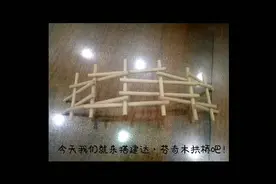 来自达芬奇的设计，3分钟教你建成自承式拱桥，精巧又实用视频封面