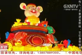 南宁青秀山东区夜游开放，各类彩灯呈现出一场华丽的视觉盛宴视频封面