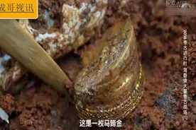 海昏侯大墓5号墓大发现，宝贝一个个露出真容视频封面