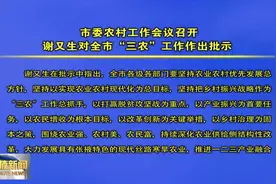 张掖市委召开农村工作会议视频封面