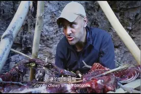 德爷对土拨鼠说：你的肉味道不错，就是太难嚼了！视频封面